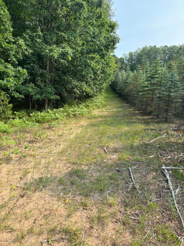 VL8 Baseline Rd, Shelby, MI 49455 - photo 40