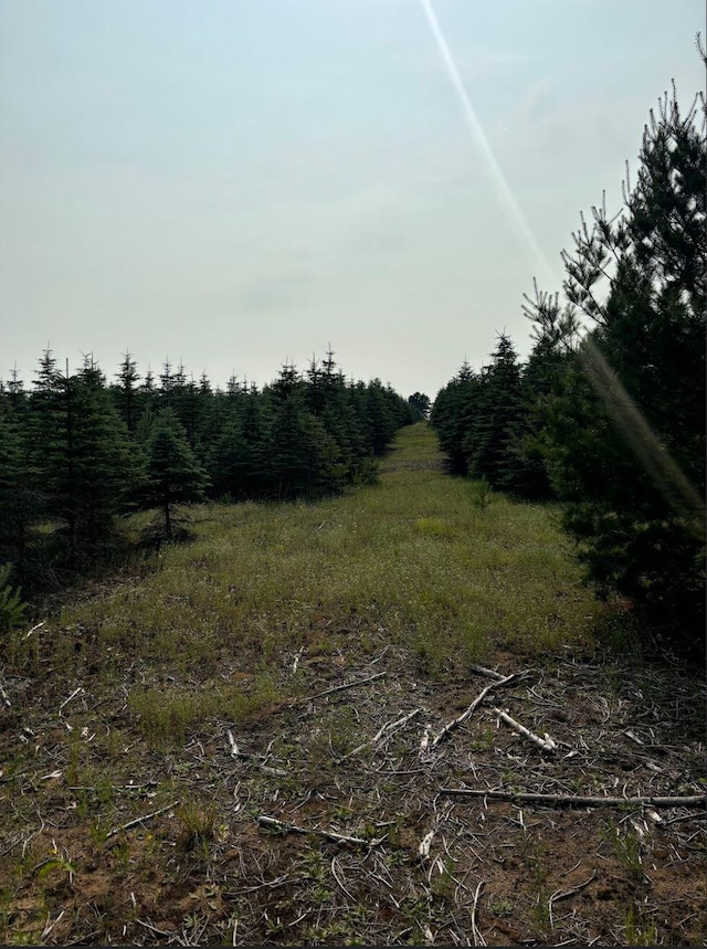 VL8 Baseline Rd, Shelby, MI 49455 - photo 41