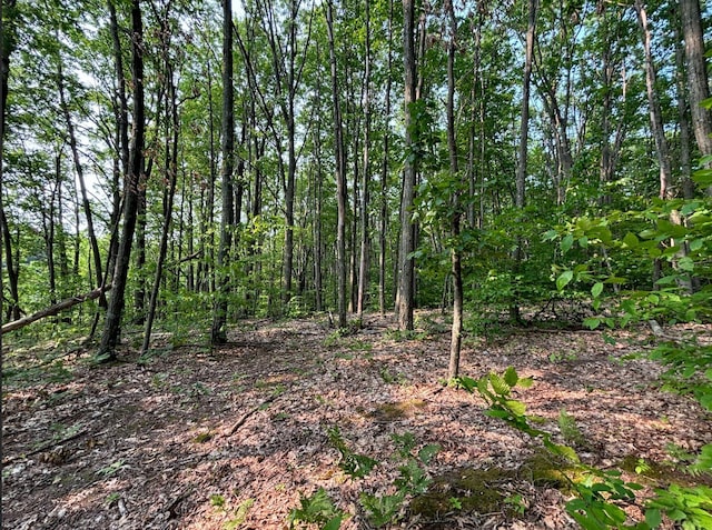 VL8 Baseline Rd, Shelby, MI 49455 - photo 43