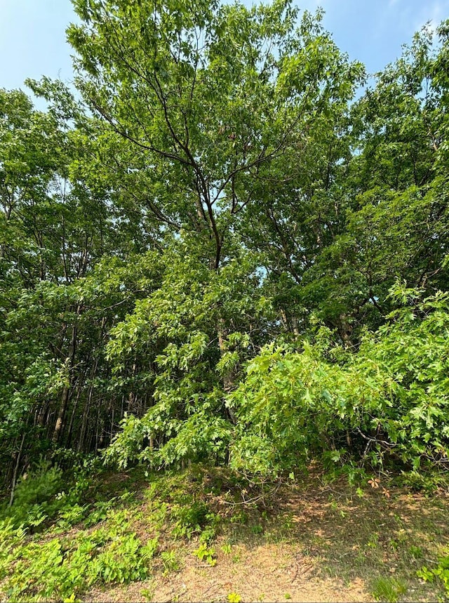 VL8 Baseline Rd, Shelby, MI 49455 - photo 44