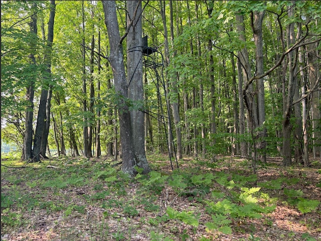 VL8 Baseline Rd, Shelby, MI 49455 - photo 46