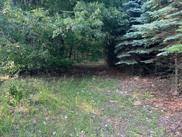 VL8 Baseline Rd, Shelby, MI 49455 - photo 47