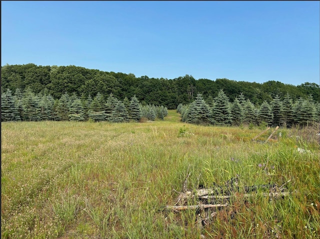 VL8 Baseline Rd, Shelby, MI 49455 - photo 50