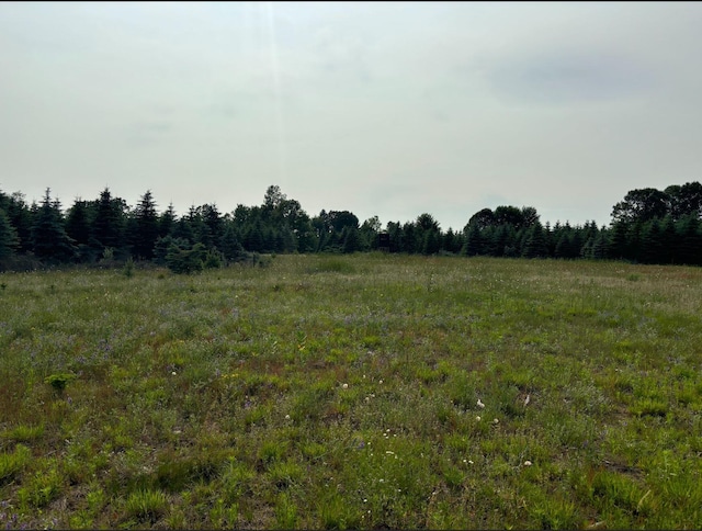 VL8 Baseline Rd, Shelby, MI 49455 - photo 51