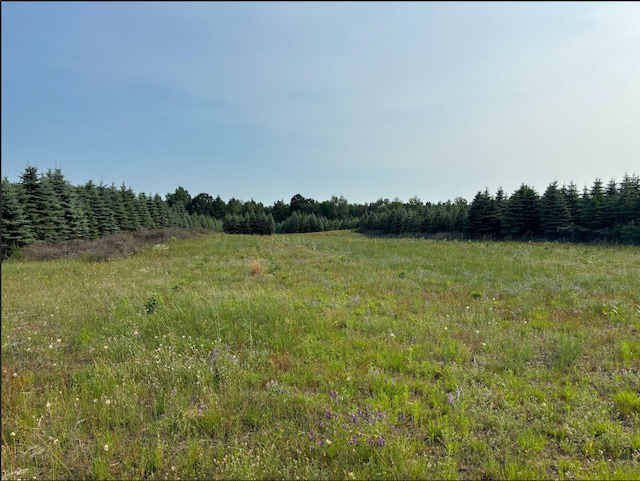 VL8 Baseline Rd, Shelby, MI 49455 - photo 53