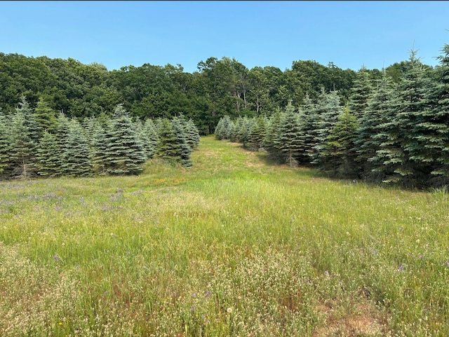VL8 Baseline Rd, Shelby, MI 49455 - photo 54