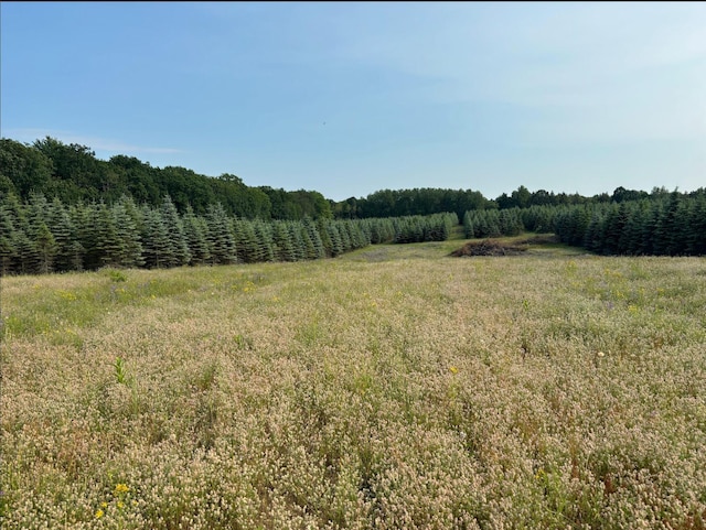 VL8 Baseline Rd, Shelby, MI 49455 - photo 55