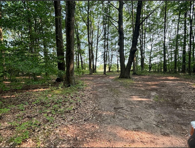 VL8 Baseline Rd, Shelby, MI 49455 - photo 56