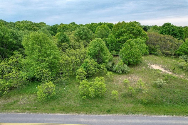 13th Ave Unit 1, South Haven, MI 49090 - photo 2