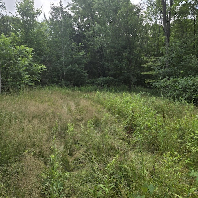 52599 36th Ave, Bangor, MI 49013 - photo 2