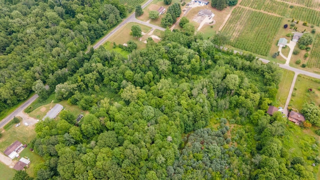 7250 N N Watervliet Rd, Watervliet, MI 49098 - photo 2