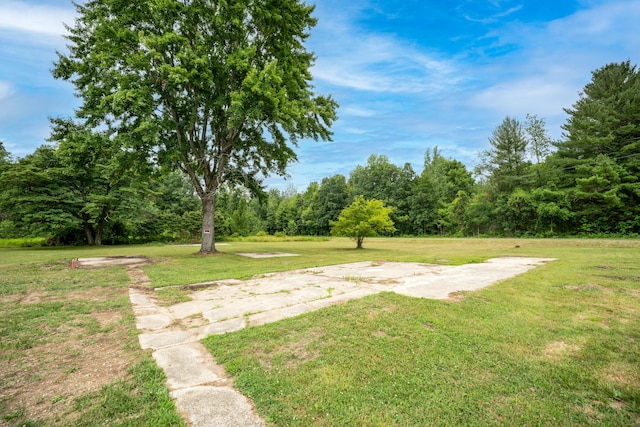 7250 N N Watervliet Rd, Watervliet, MI 49098 - photo 11