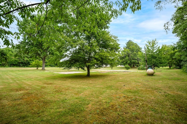 7250 N N Watervliet Rd, Watervliet, MI 49098 - photo 6