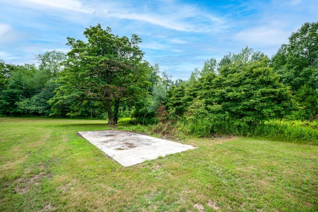 7250 N N Watervliet Rd, Watervliet, MI 49098 - photo 9