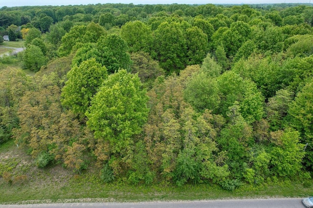 13th Ave Unit 6, South Haven, MI 49090 - photo 2
