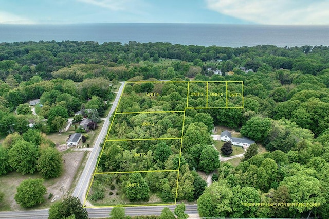 13th Ave Unit 6, South Haven, MI 49090 - photo 1