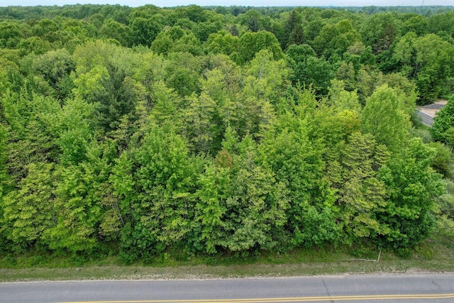 13th Ave Unit 6, South Haven, MI 49090 - photo 4