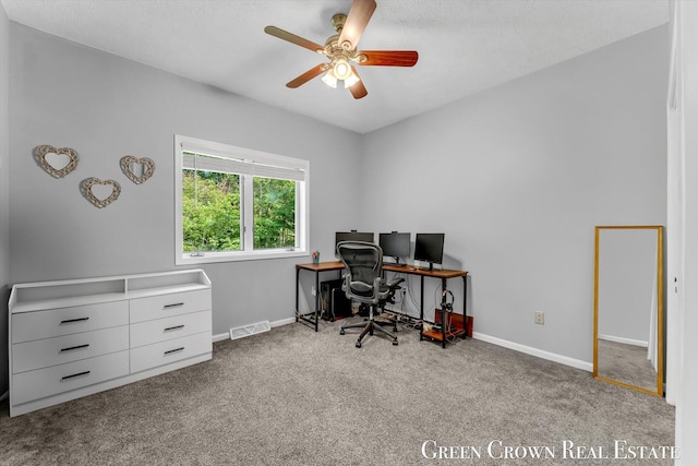 9181 Pennfield Rd, Battle Creek, MI 49014 - photo 27