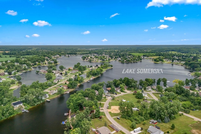 10911 Woodbrook Dr, Cement City, MI 49233 - photo 36