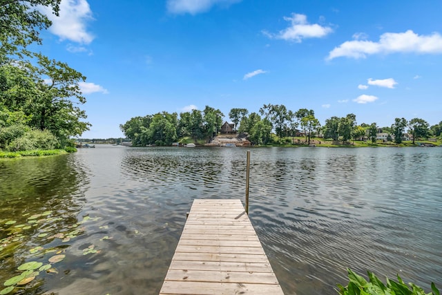 10911 Woodbrook Dr, Cement City, MI 49233 - photo 31