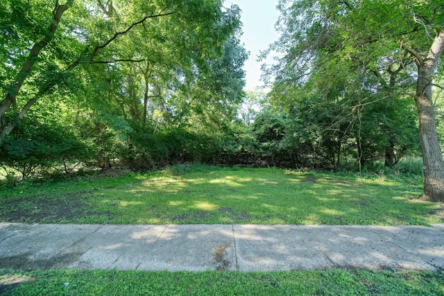 509 Sulgrave Ave, Jackson, MI 49203 - photo 10