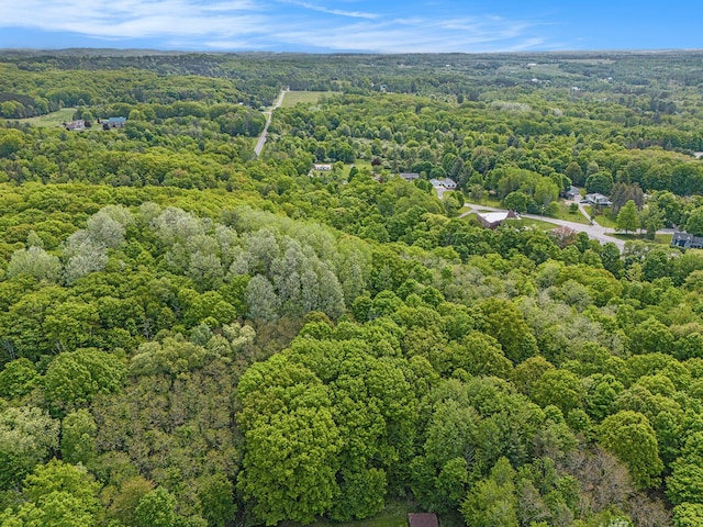9ACRES 3rd St, Onekama, MI 49675