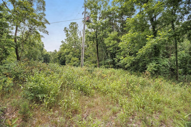 32350 76th St, Covert, MI 49043