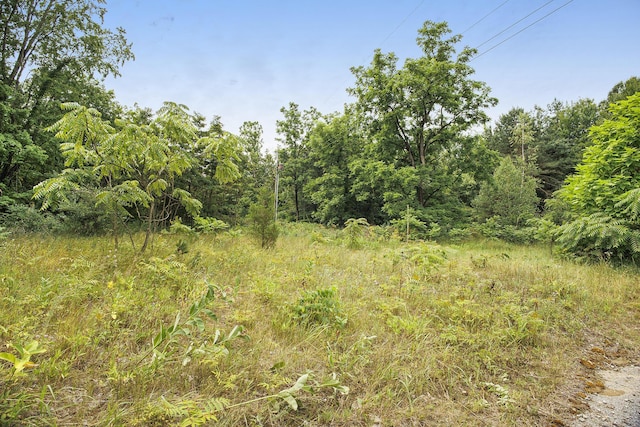 32350 76th St, Covert, MI 49043
