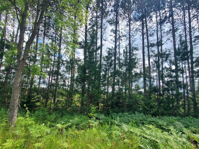 80ACRES Beall Rd, Bear Lake, MI 49614 - photo 2
