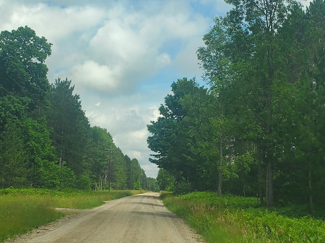 80ACRES Beall Rd, Bear Lake, MI 49614 - photo 3