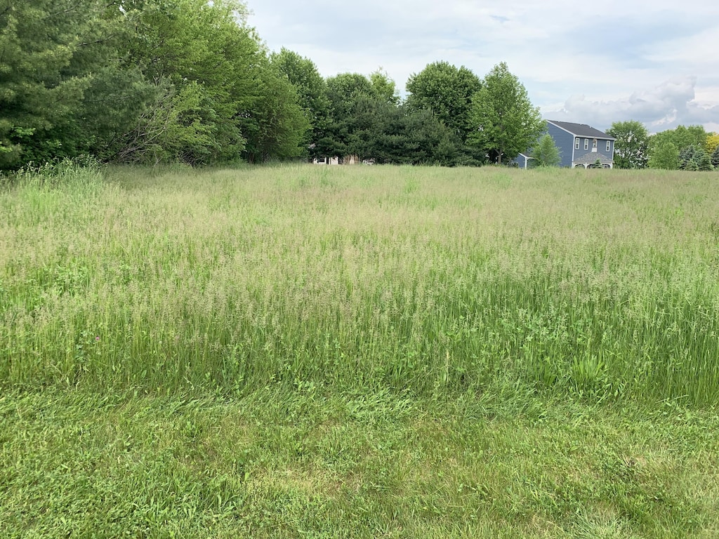 1239 Diamond Harbor Ct Lot # 9, Cassopolis, MI 49031 - photo 2