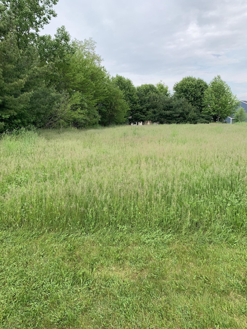 1239 Diamond Harbor Ct Lot # 9, Cassopolis, MI 49031 - photo 3