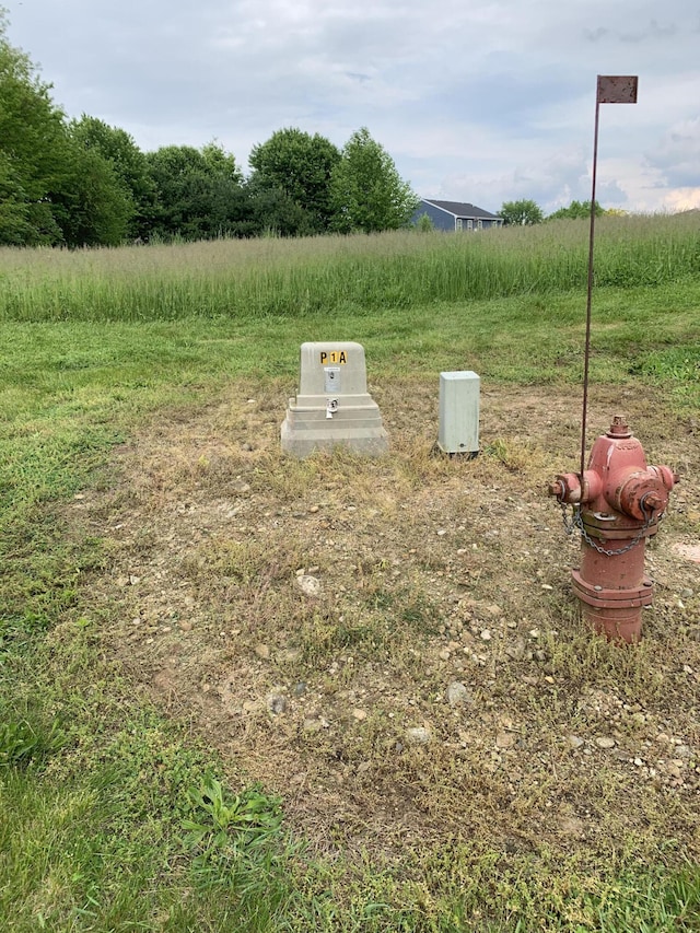 1239 Diamond Harbor Ct Lot # 9, Cassopolis, MI 49031 - photo 4