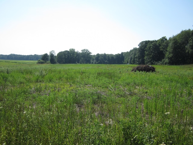 0 Blackmer Rd, Ravenna, MI 49451 - photo 2