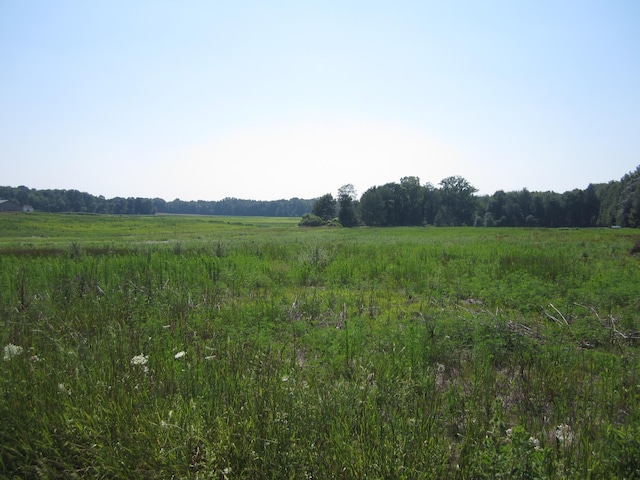 0 Blackmer Rd, Ravenna, MI 49451 - photo 3