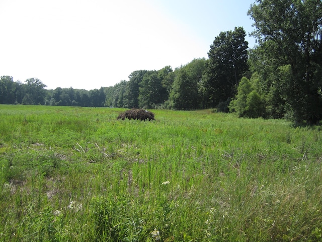 0 Blackmer Rd, Ravenna, MI 49451 - photo 9