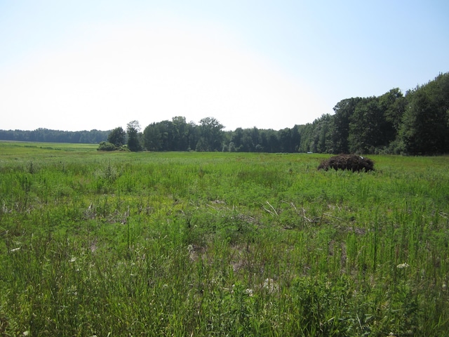 0 Blackmer Rd, Ravenna, MI 49451 - photo 10