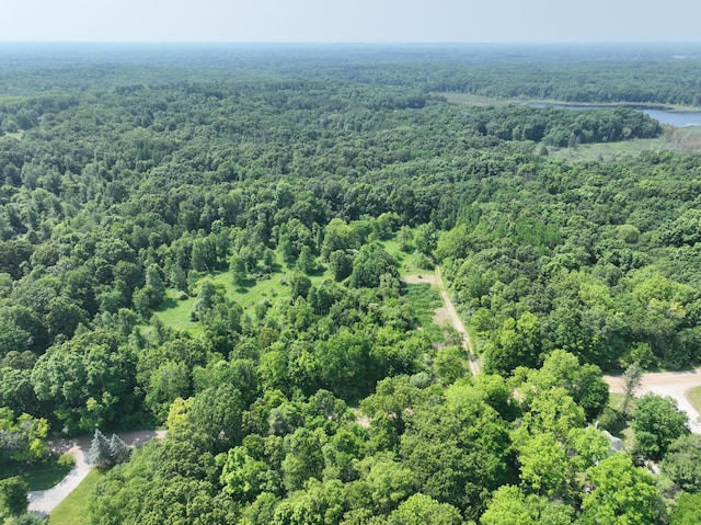 6458 Richardson Rd, Howell, MI 48843