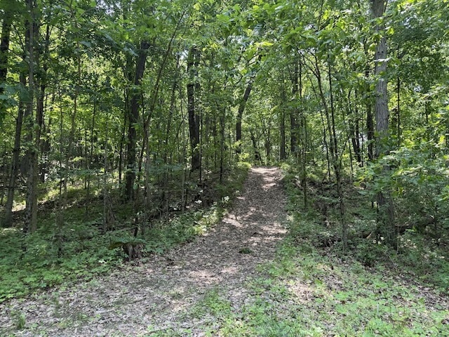 6458 Richardson Rd, Howell, MI 48843