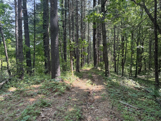 6458 Richardson Rd, Howell, MI 48843