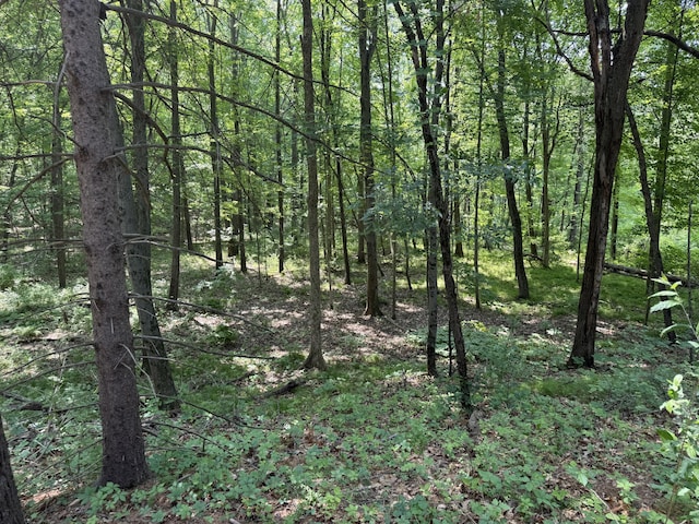 6458 Richardson Rd, Howell, MI 48843