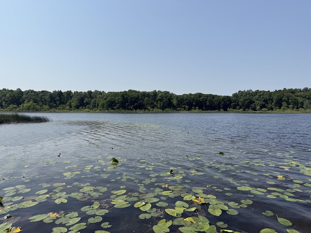 6458 Richardson Rd, Howell, MI 48843