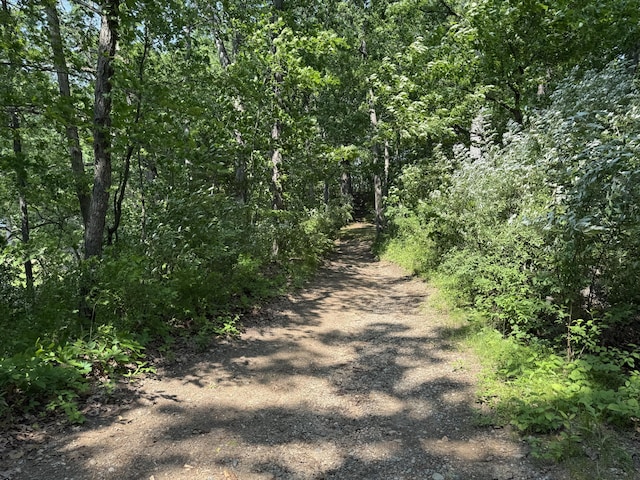 6458 Richardson Rd, Howell, MI 48843