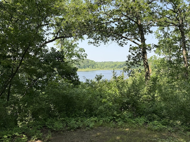 6458 Richardson Rd, Howell, MI 48843