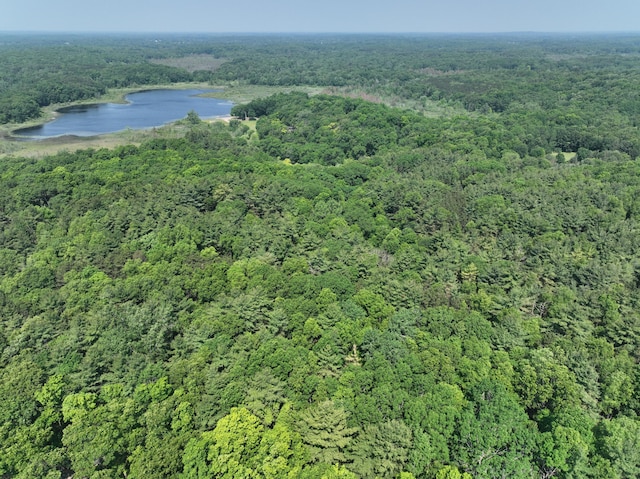 6458 Richardson Rd, Howell, MI 48843