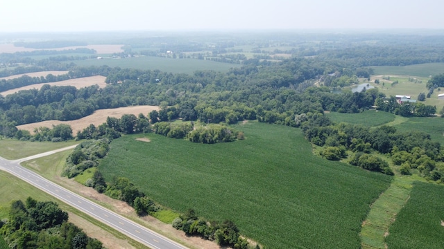 20664 Allen Rd, Manchester, MI 48158 - photo 37