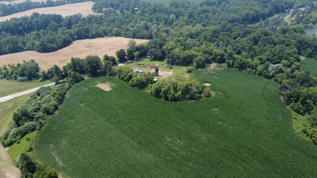 20664 Allen Rd, Manchester, MI 48158 - photo 38