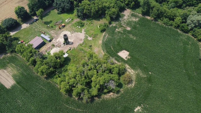 20664 Allen Rd, Manchester, MI 48158 - photo 42