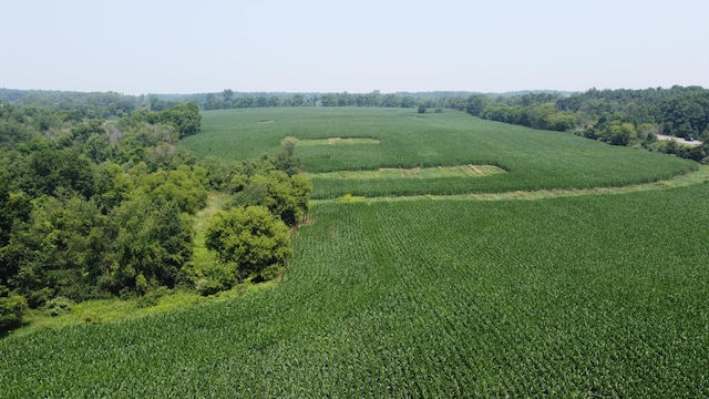 20664 Allen Rd, Manchester, MI 48158 - photo 49