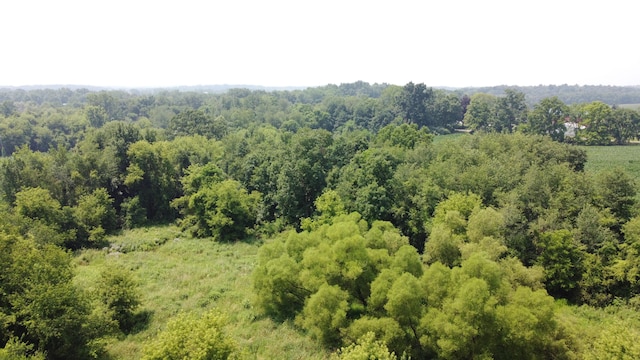 20664 Allen Rd, Manchester, MI 48158 - photo 58